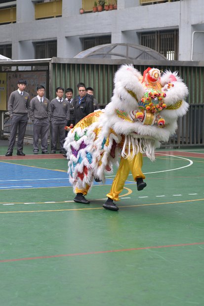 WSY_4709