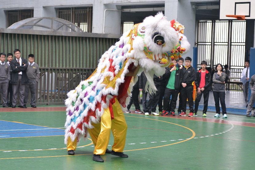 WSY_4730