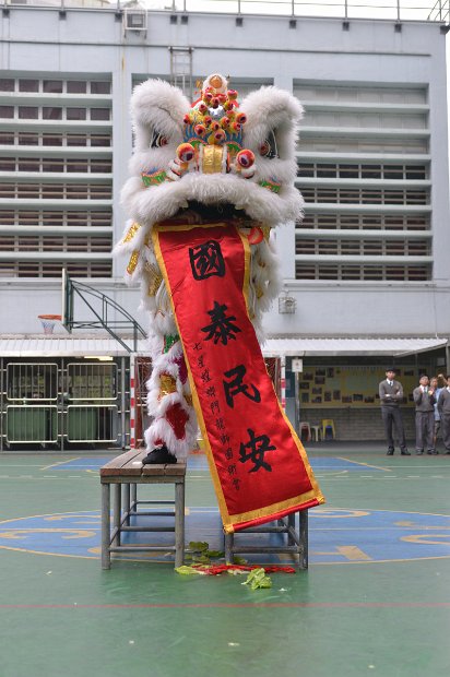 WSY_4922